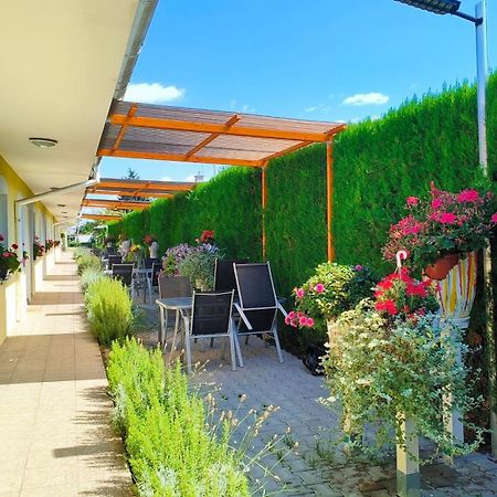 Cozy Room With Garden In براتسيلافا المظهر الخارجي الصورة