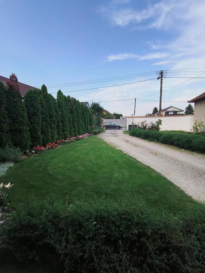 Cozy Room With Garden In براتسيلافا المظهر الخارجي الصورة