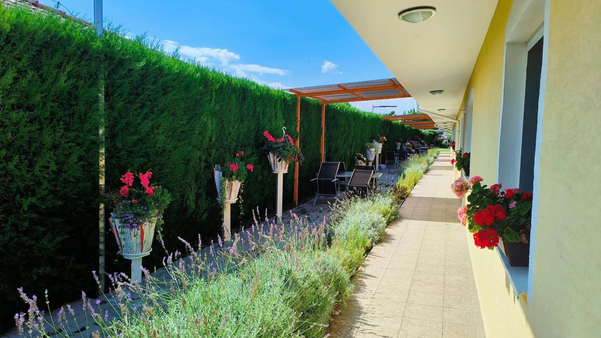 Cozy Room With Garden In براتسيلافا المظهر الخارجي الصورة